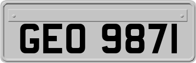 GEO9871
