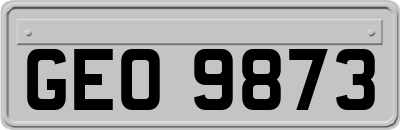 GEO9873