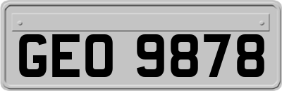 GEO9878