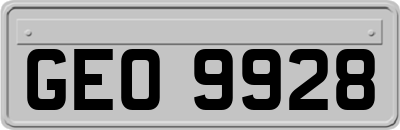 GEO9928