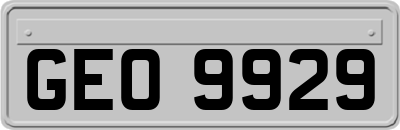 GEO9929