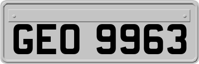 GEO9963