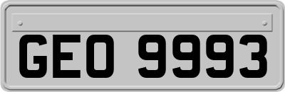 GEO9993