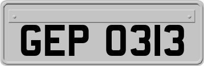 GEP0313