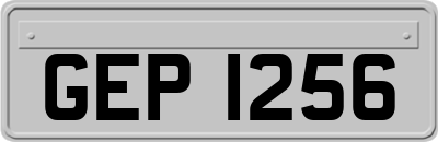 GEP1256