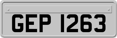 GEP1263