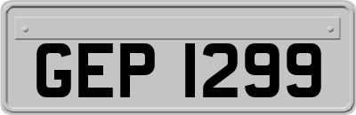 GEP1299
