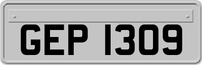 GEP1309