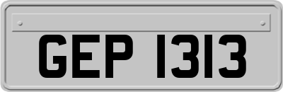 GEP1313