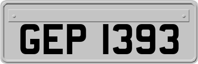 GEP1393