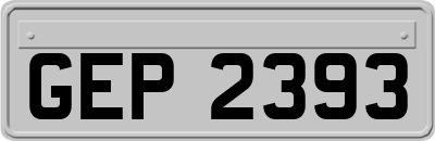 GEP2393