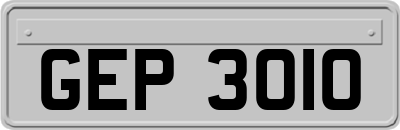 GEP3010