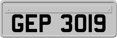 GEP3019