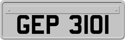 GEP3101