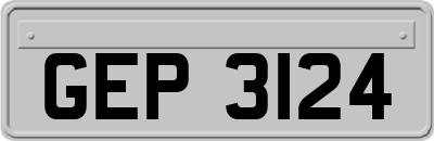 GEP3124