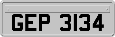 GEP3134
