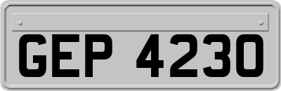 GEP4230