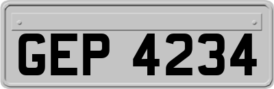 GEP4234