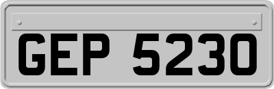 GEP5230