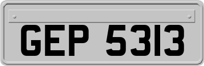 GEP5313