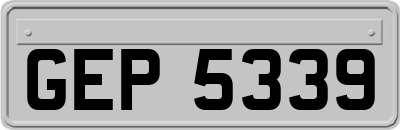 GEP5339