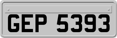 GEP5393