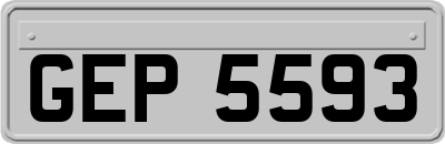 GEP5593