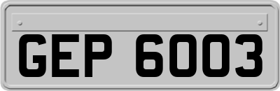 GEP6003