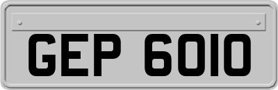 GEP6010