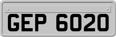 GEP6020