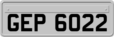 GEP6022