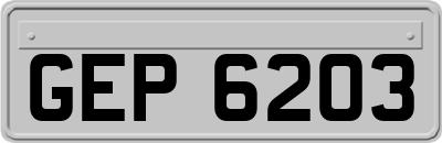 GEP6203