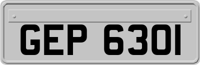 GEP6301