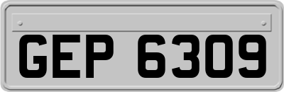 GEP6309