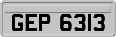 GEP6313