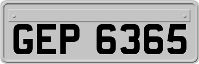 GEP6365