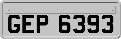 GEP6393