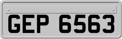 GEP6563