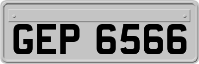 GEP6566