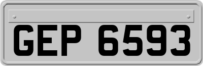 GEP6593