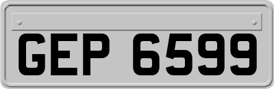 GEP6599