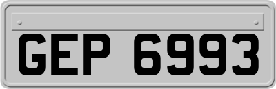 GEP6993