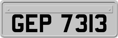 GEP7313