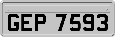GEP7593