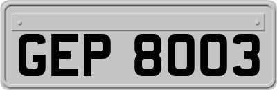 GEP8003