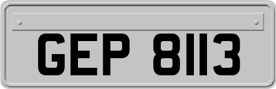 GEP8113