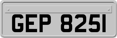 GEP8251
