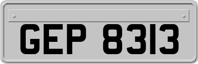 GEP8313