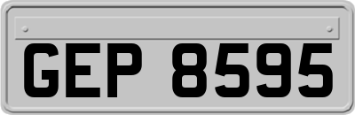 GEP8595