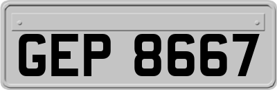 GEP8667